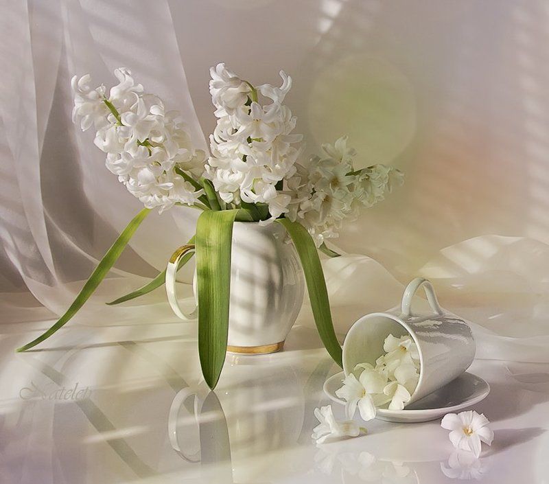 натюрморт, цветы, гиацинт, игрушка Немного солнца в мартовскую метельphoto preview