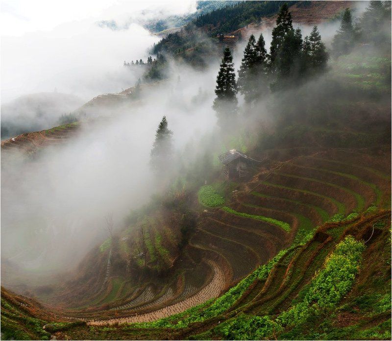 рисовые террасы лунцзи ,на территории деревни пинсян,китай хижина дядюшки Лиphoto preview