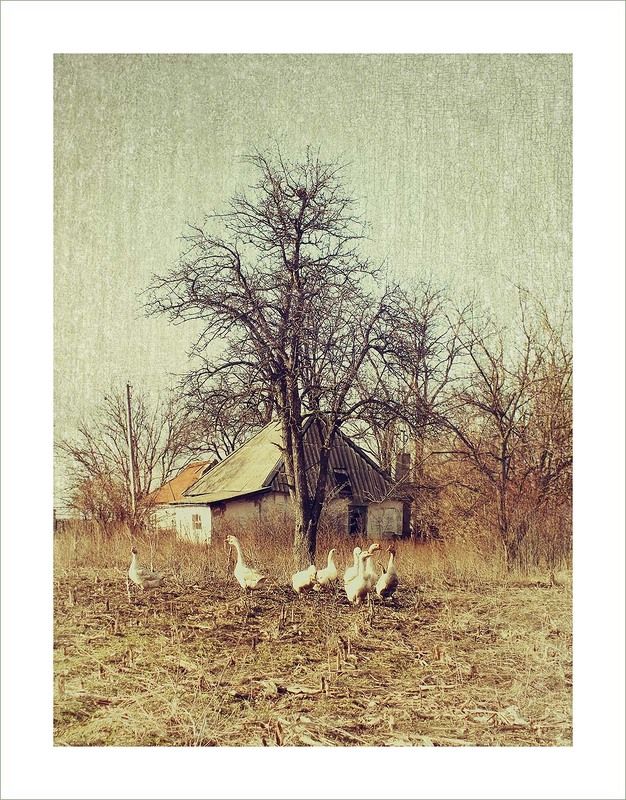 Жили у бабуси...photo preview