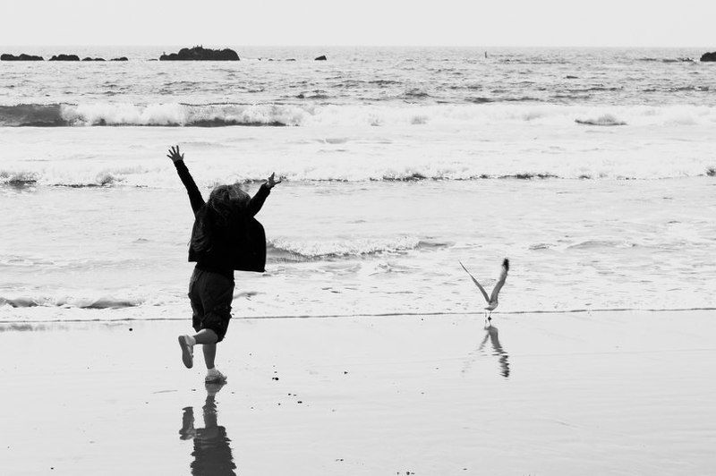 los angeles, santa monica, freedom Double Vphoto preview