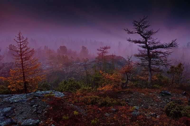 Тёмными ночамиphoto preview