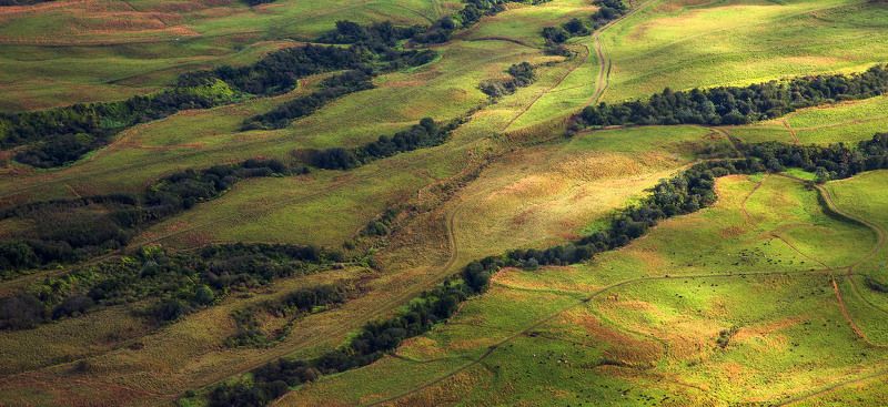 Big islandphoto preview