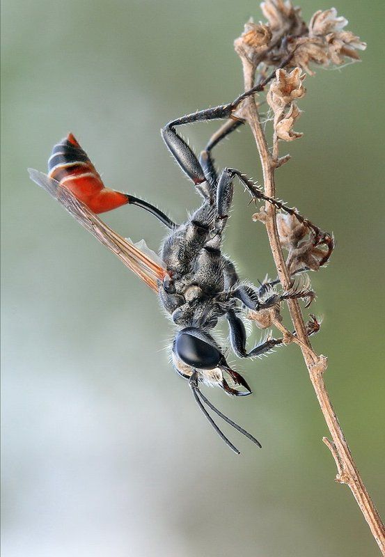 В ожидании солнцаphoto preview