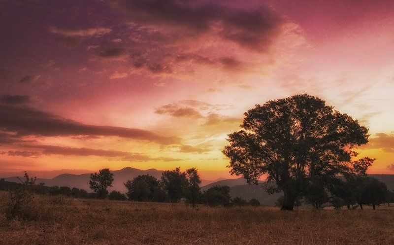 Рассвет.photo preview