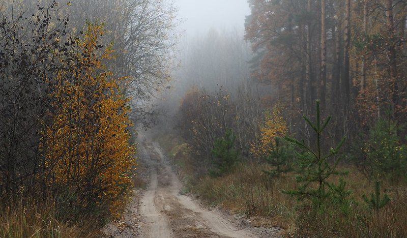 Осеннее настроениеphoto preview