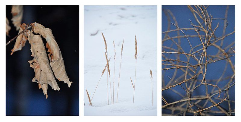 Месяц Мартphoto preview