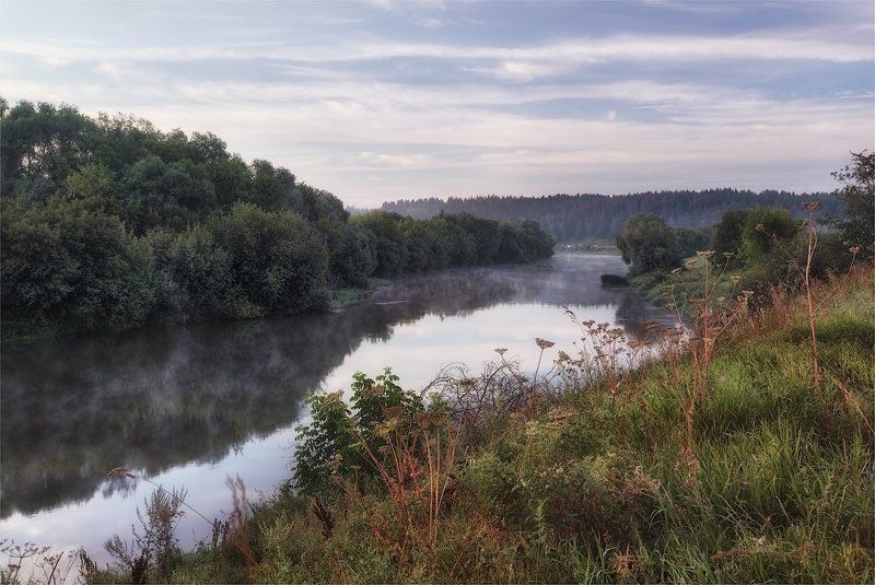 река, утро, лето про летоphoto preview