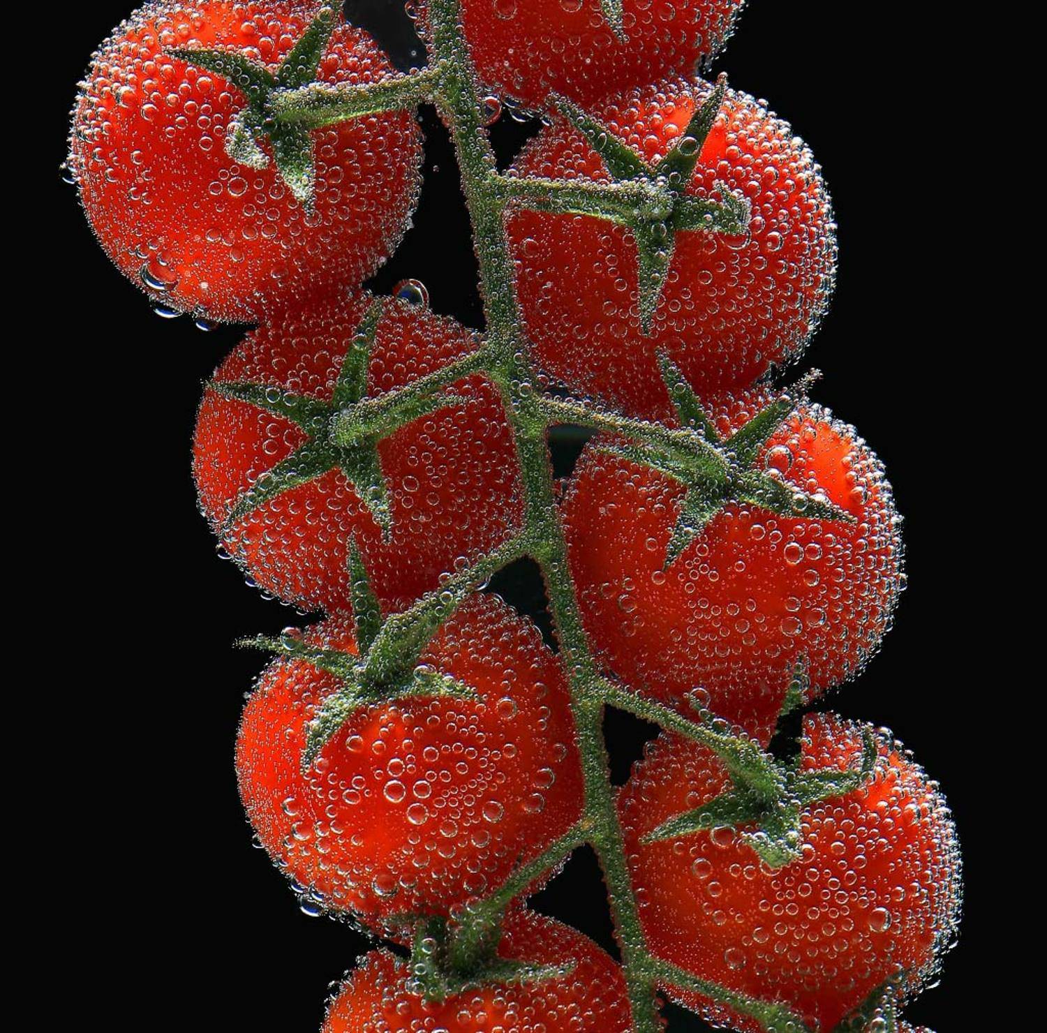 Пузырики. Автор: Uncle_Vova (Владимир Веснин) , Uncle_Vova (Владимир Веснин)