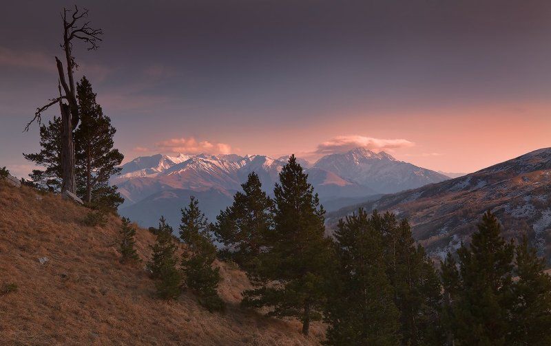 лаги ***photo preview