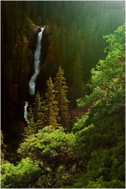 Зимой и Летомphoto preview