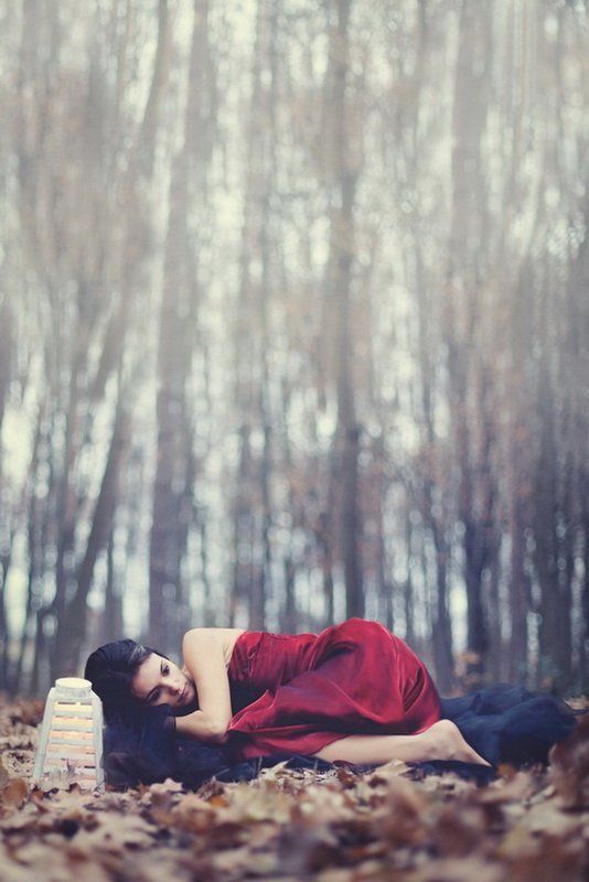 In the woodsphoto preview