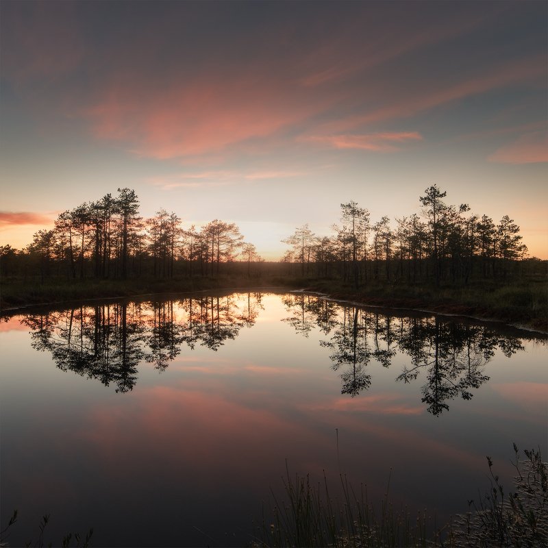 ленобласть, отражения, болото Reflection collectionphoto preview