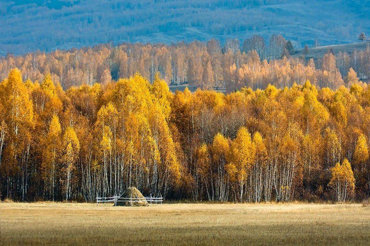 южный урал,оренбургская область, орск, новотроицк,башкирия, башкиртостан, Качурин Алексей