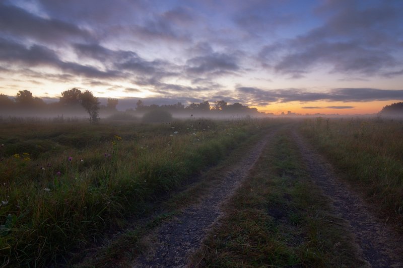 рассвет, утро, туман, дорога, пейзаж, лето, dawn, morning, fog, road, landscape, summer Перед рассветомphoto preview