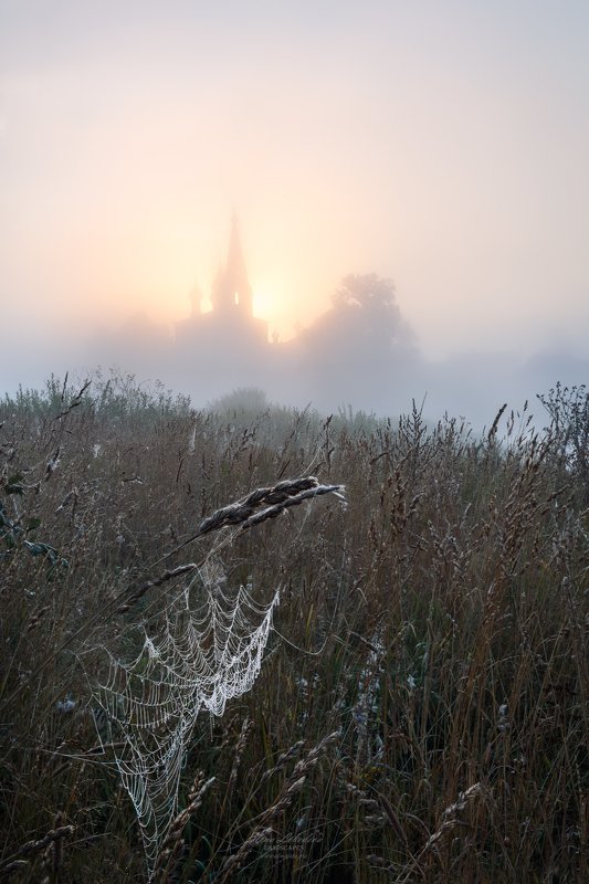 дунилово, россия, утро, восход, туман, пейзаж, природа Вестники осениphoto preview
