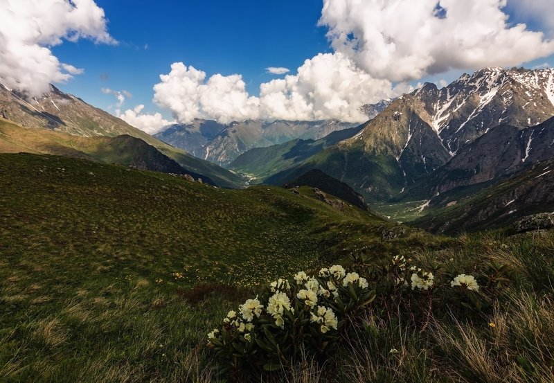 горы, альпинизм, кавказ, ледники wind of spring...photo preview