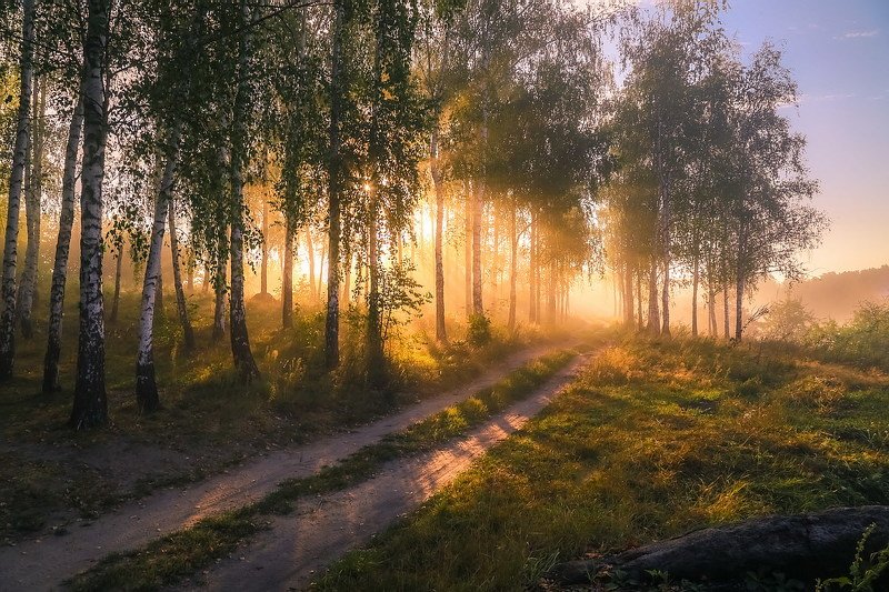 Утро дышит тишиной.photo preview