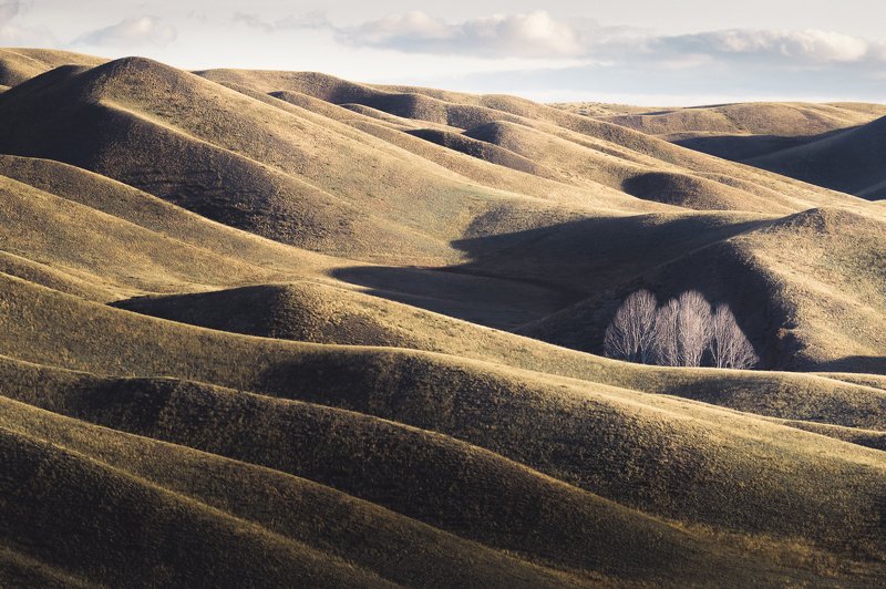 Закатphoto preview