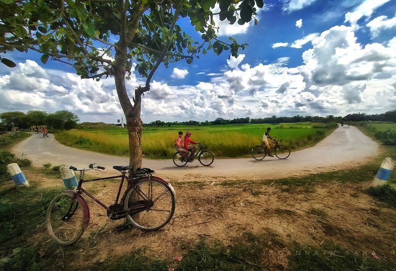 Autumn in bengalphoto preview