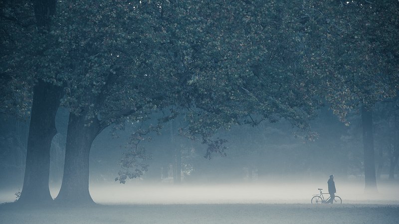 Morningphoto preview