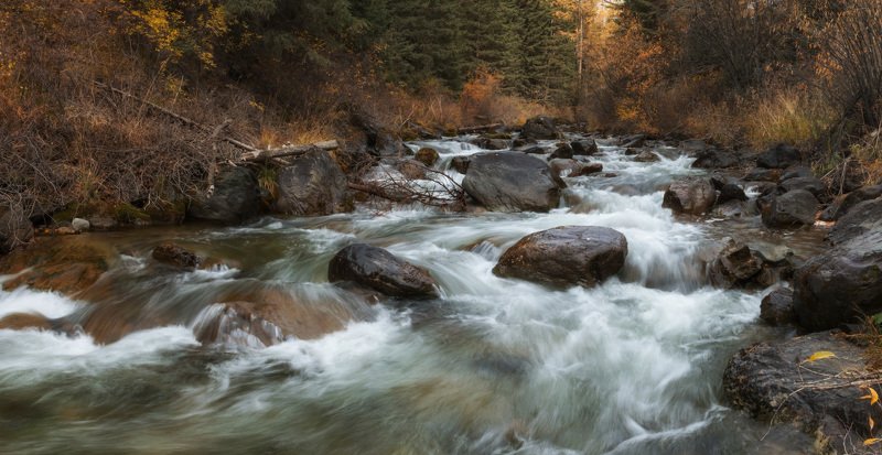 Чибитка фото превью