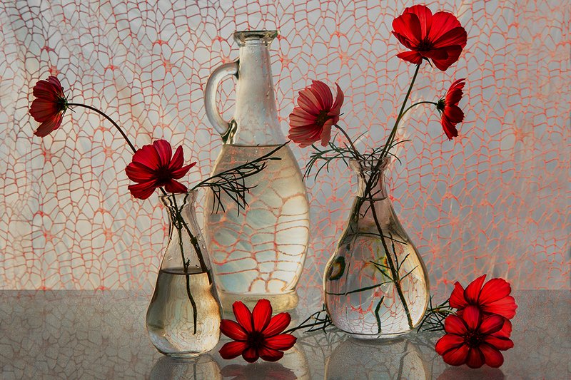 Космеяphoto preview