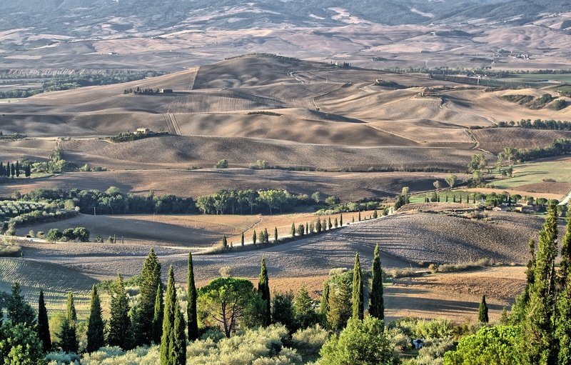 Toskaniaphoto preview