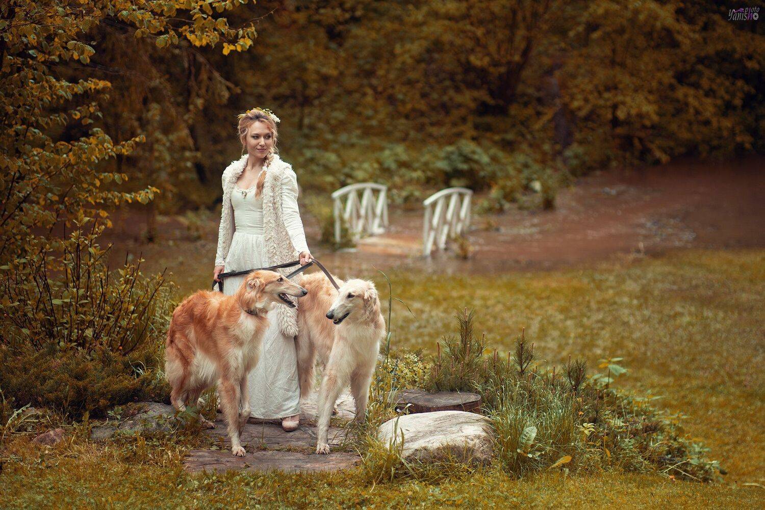 девушка, борзые, собаки, терраса, лето, ретро, аристократия, Янина Ермакова