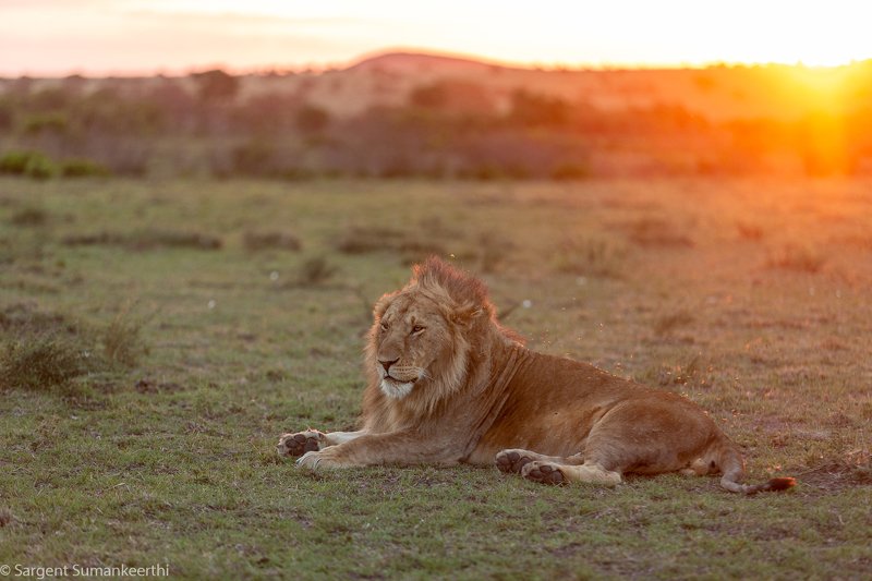 Enjoying the eveningphoto preview