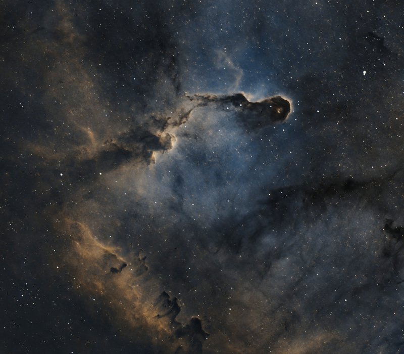 elephant trunk, nebula, astrophoto, astro, space, stars Elephant trunk nebula, Cepheusphoto preview