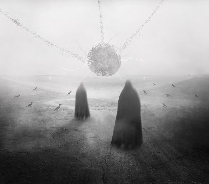 fineart Arrivalphoto preview