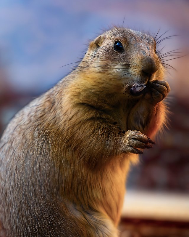 Что я натворилphoto preview