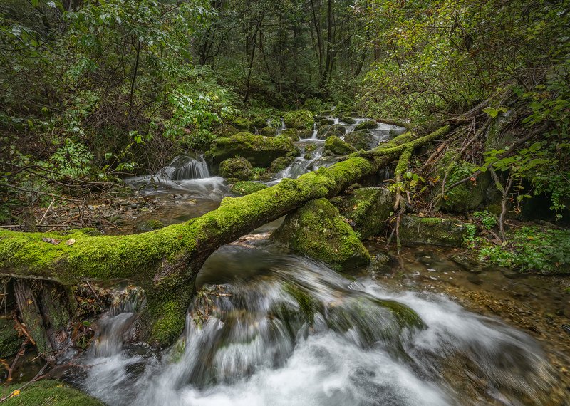 Таёжная речка.photo preview