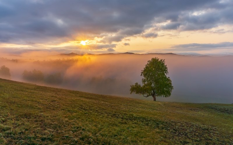 утро, рассвет, восход, туман, лучи Осенний этюдphoto preview