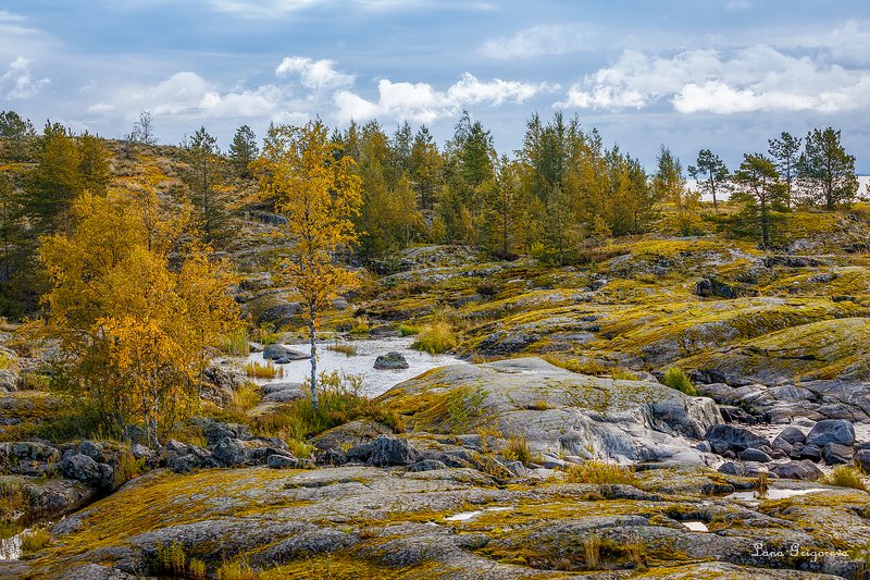 Утро с видом на Осень)photo preview