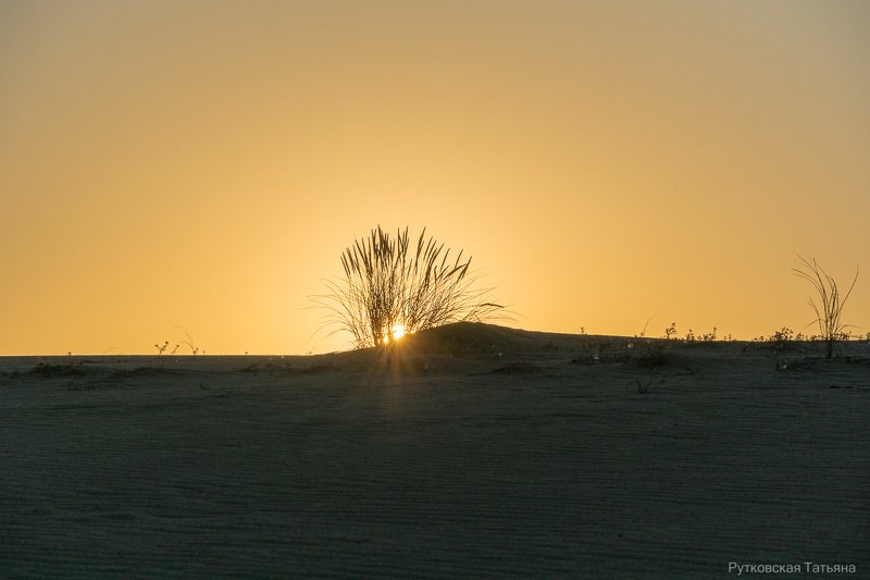Утро на Куршской косеphoto preview