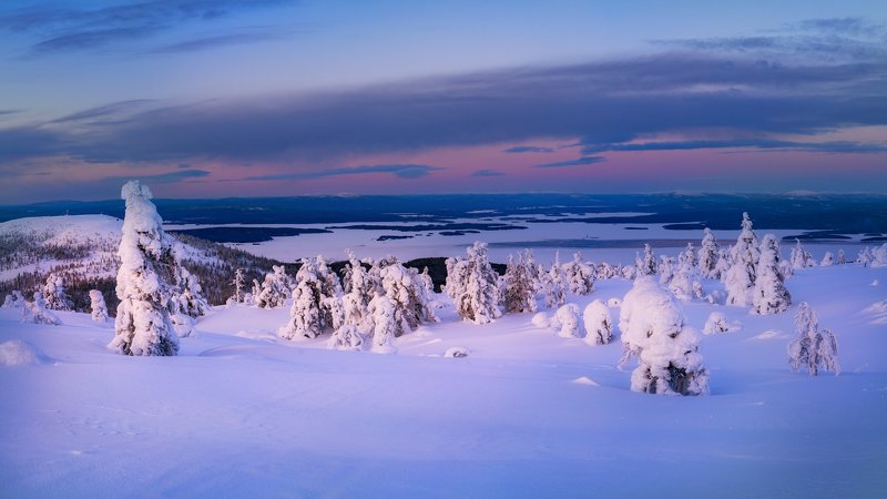 Кандалакшский лесphoto preview