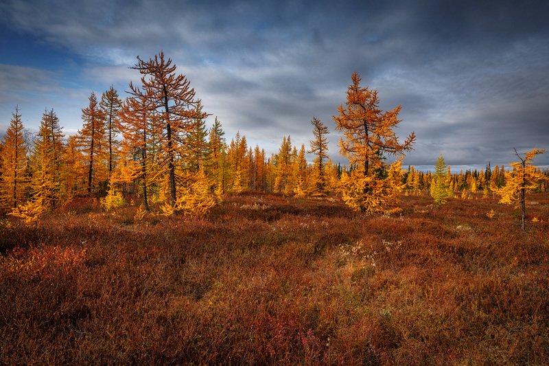 Осеньphoto preview