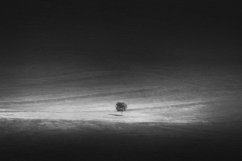 Свет и теньphoto preview