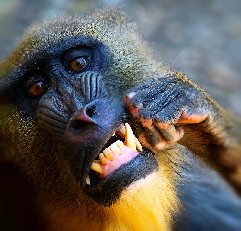 У дантистаphoto preview