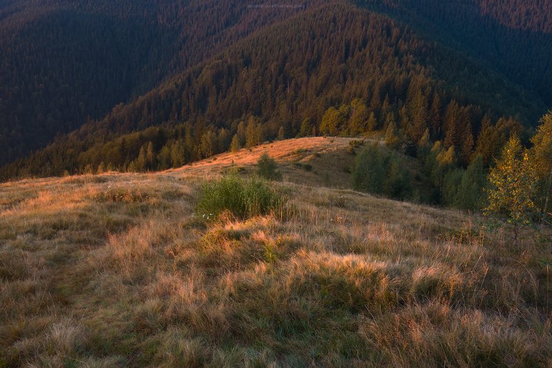 На рассветеphoto preview