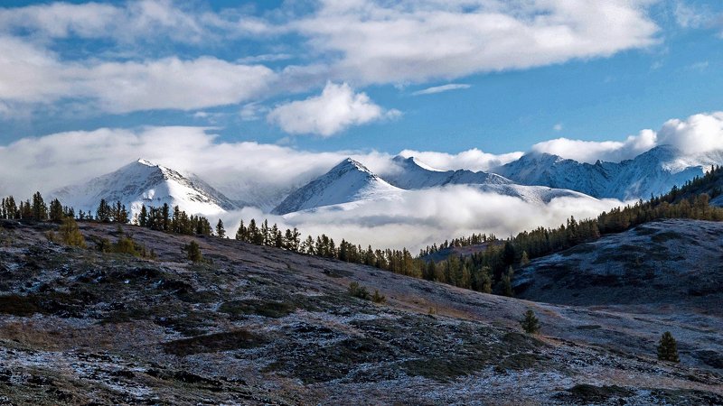 природа  алтай горы облака пейзаж путешествие тени курайский хребет утро Курайский хребет...photo preview