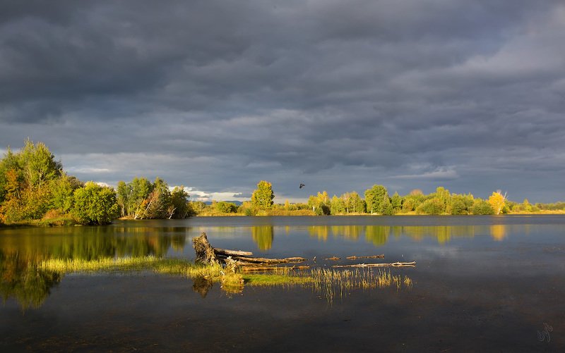 осень * * *photo preview