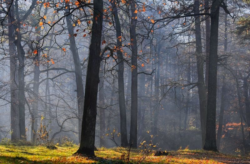 Вдохновение осениphoto preview