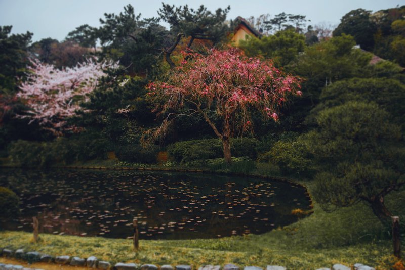 Japanese Gardenphoto preview