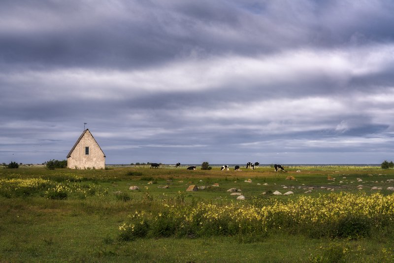 balticsea, Beach, chalkstone, chalkstonechapel, chapel, Clouds, Coast, coastal, cowpasture, cows, fishermen´svillage, fishermen\'schapel, Fishing, fishingmuseum, fishingstation, fishinvillage, flowers, Gotland, Grass, Island, Kovik, kovik\'schapel, Meadow,  Kovik\'s Chapelphoto preview