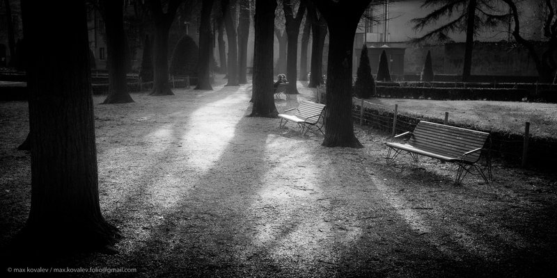 Italy, Mantova, Mantua, bench, gauze, haze, ray, shadow, square, sunny, tree, Италия, Мантуя, дерево, дымка, луч, скамейка, сквер, солнечный, тень, туман тени / shadowsphoto preview