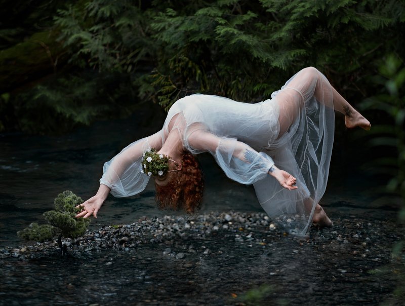 Do you see how nature Is thriving During COVID-19?photo preview