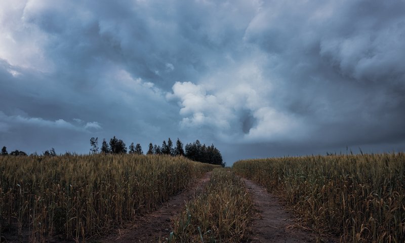 Bad Weather(the portal is open)photo preview