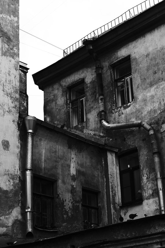 Петербургский дворphoto preview